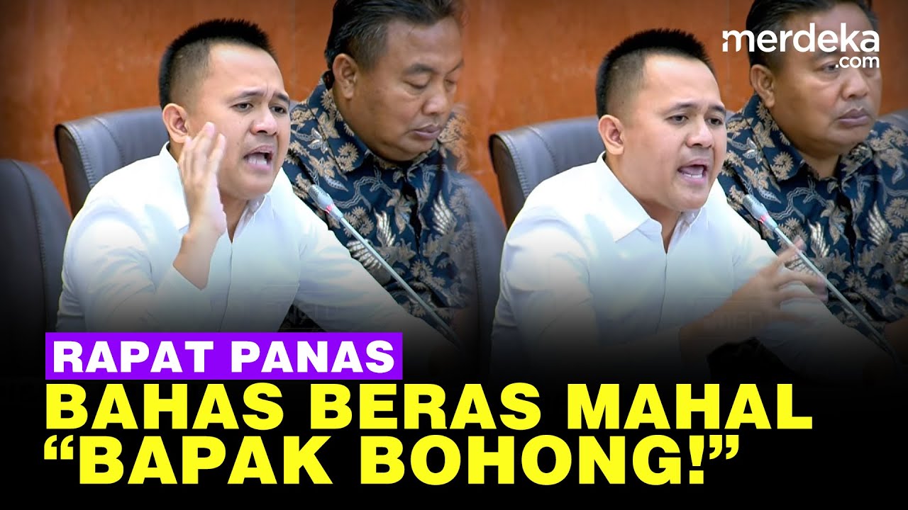 Panas Rapat Komisi VI DPR Bahas Beras Mahal: Gila, Bapak Bohong, RNI Bubarkan Saja!