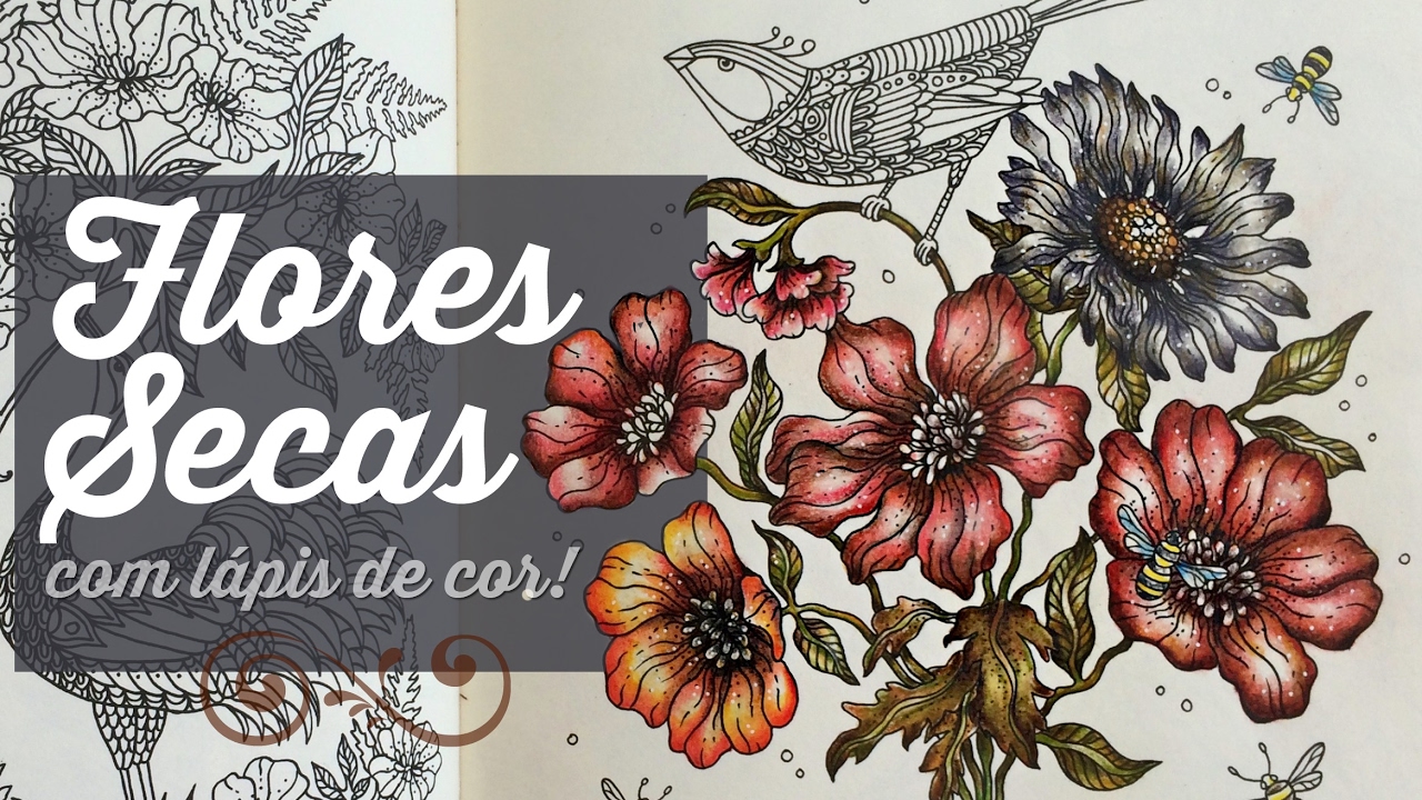 Efeito Flor Seca com lápis de cor!