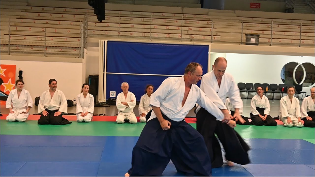 Aïkido :  Forges Les Eaux 18 juin 2023 : Brice Guiader 5ème Dan Jiyu Waza sur tsuki (2ème partie)