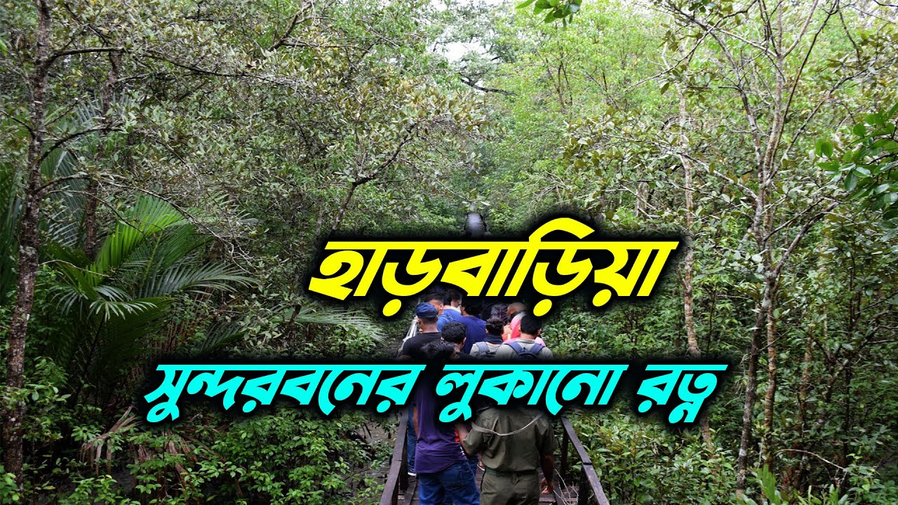 হাড়বাড়িয়া ভ্রমণ | Harbaria Eco Tourism Sundarbans | Hidden Nature of Bangladesh