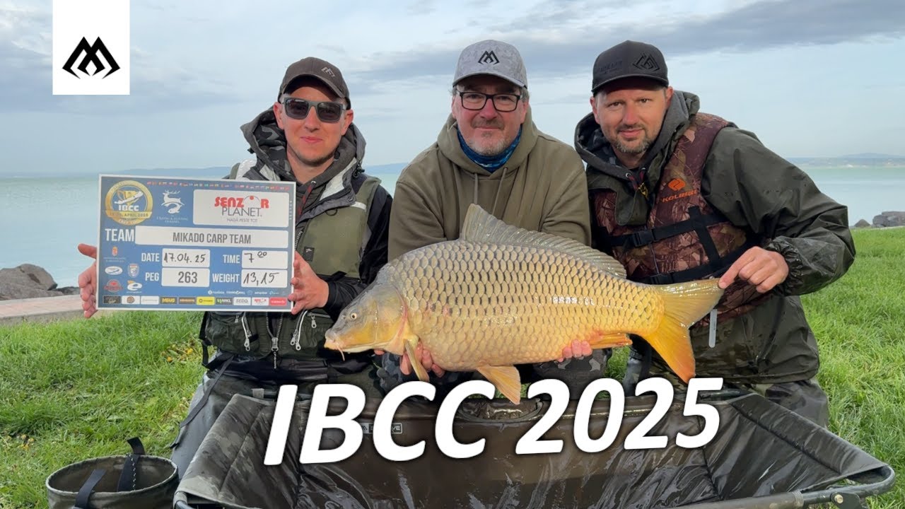 Jak łowić karpie na zawodach - Relacja z IBCC Balaton / Team Mikado
