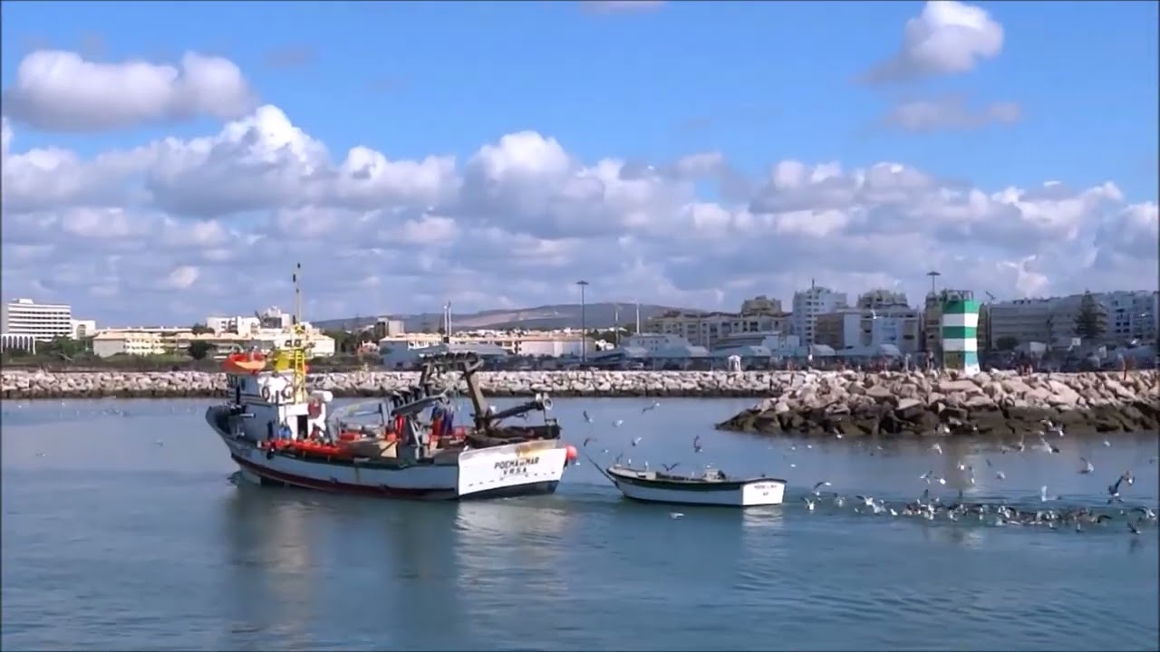 O REGRESSO DA FAINA   Quarteira