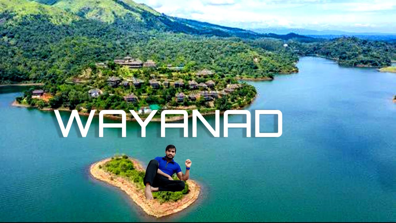  Wayanad 🤭👌Most Beautiful Place | #wayanad #wayanadvlog #vlogs  #amazingplaces 