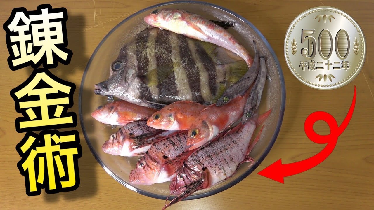 【珍魚】５００円しか持たないで市場で買ったおさかなで作った刺盛りが予想以上　Fish bought for $ 5