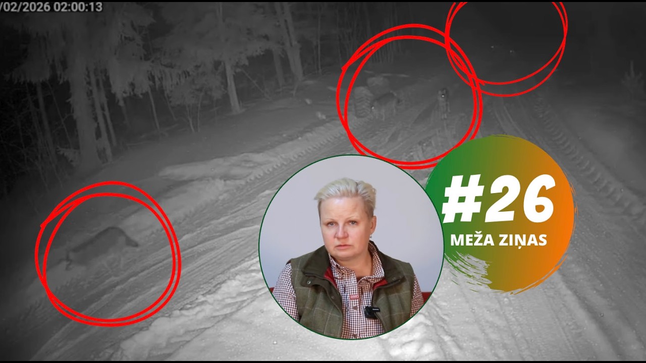 Tas vairs nav normāli! Reāli bail laist suni ārā no mājas. Meža ziņas #26