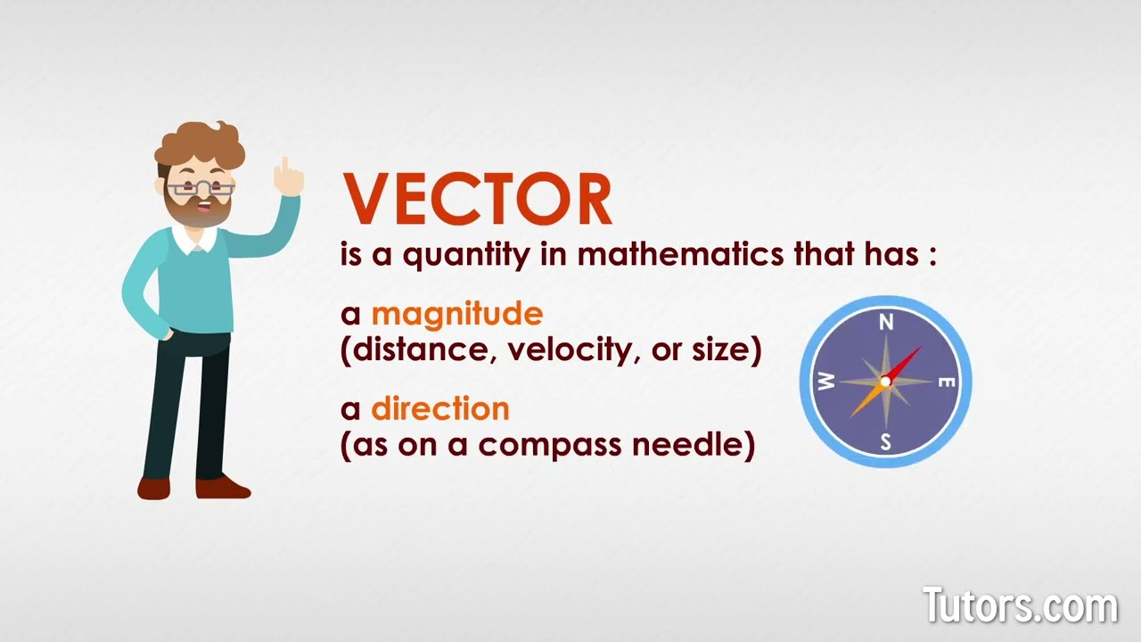 What is A Vector? | Definition, Multiplication, and Examples