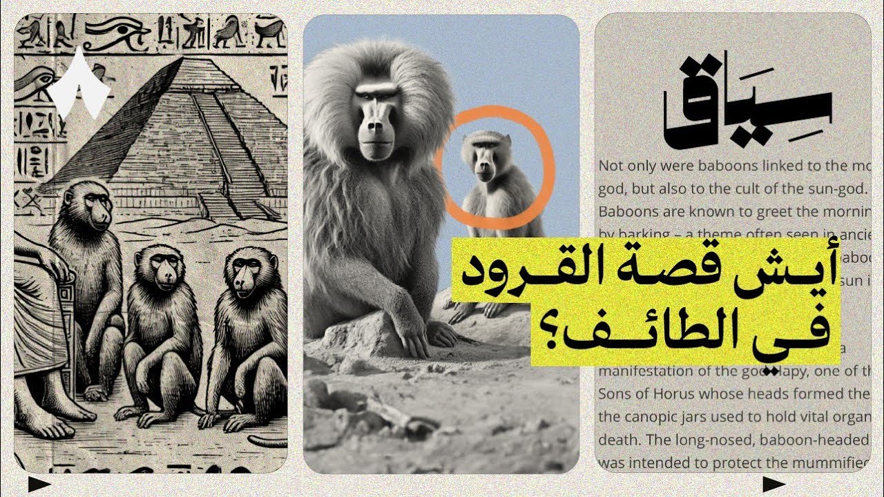 الفعالية السعودية اللي غيرت القرود | سياق