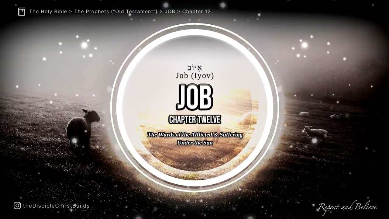 They Shall Teach Thee שְׁאַל־נָא בְהֵמוֹת וְתֹרֶךָּ | 📖Job 12 | A Lo-Fi Scripture Workout Mix