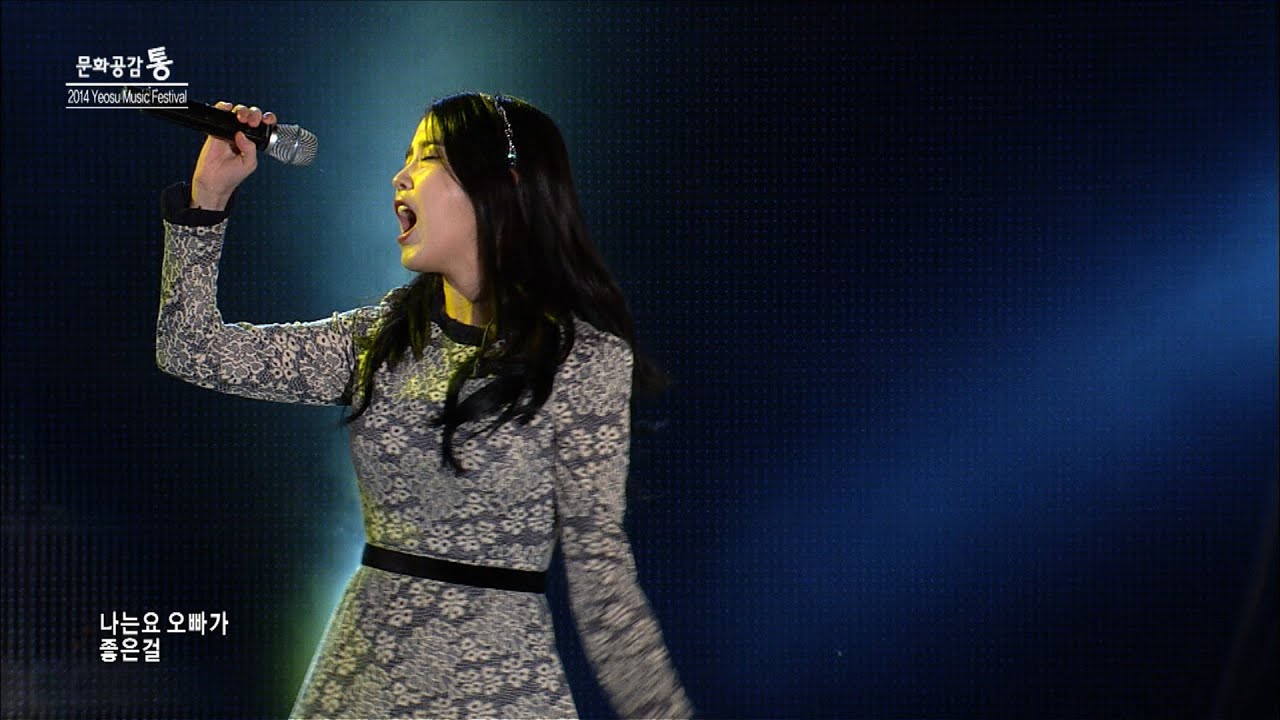 아이유 - 좋은 날 (IU Good day) Yeosu Music Festival 2014 /이지은