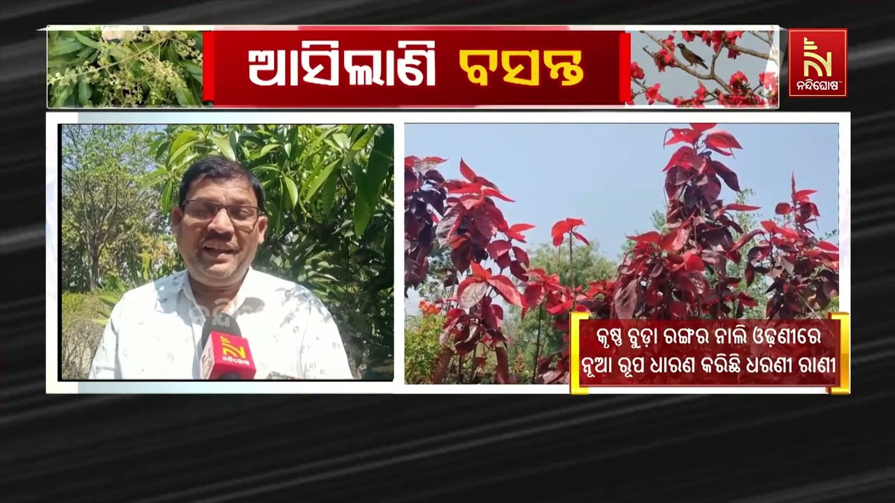 ଆସିଲାଣି ବସନ୍ତ