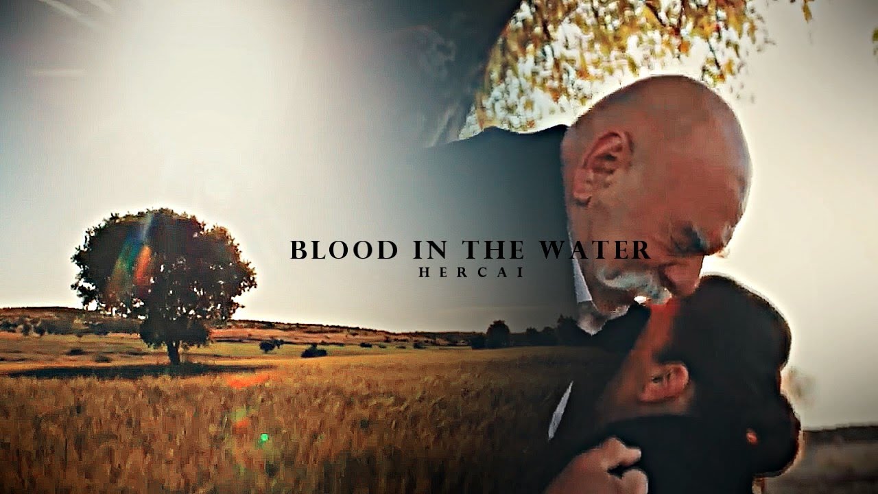 Hercai|| blood in the water