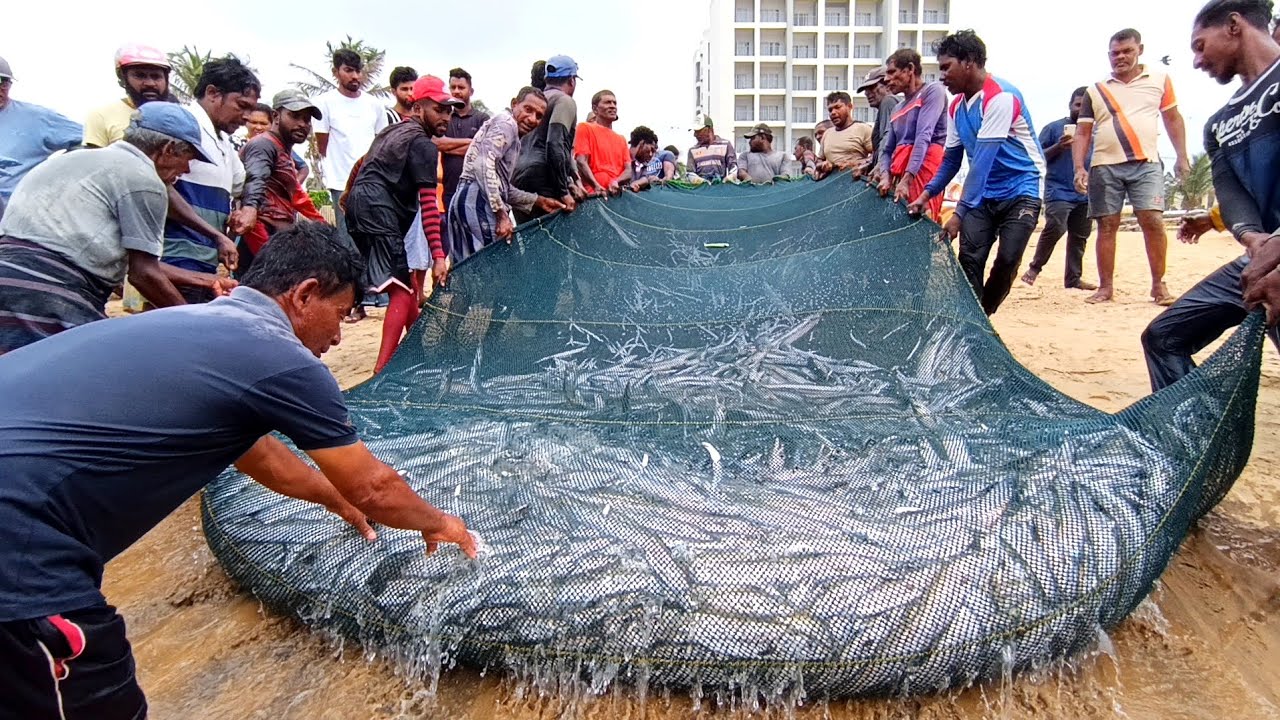 Reborn fish catching net - Amazing Net fishing video 2000kg fish catching 
