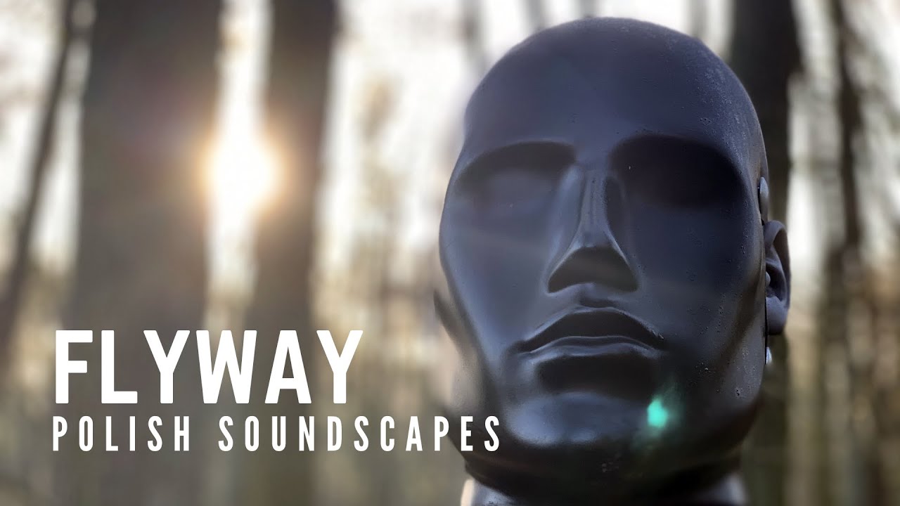 Geese migration flyway | Binaural microphone