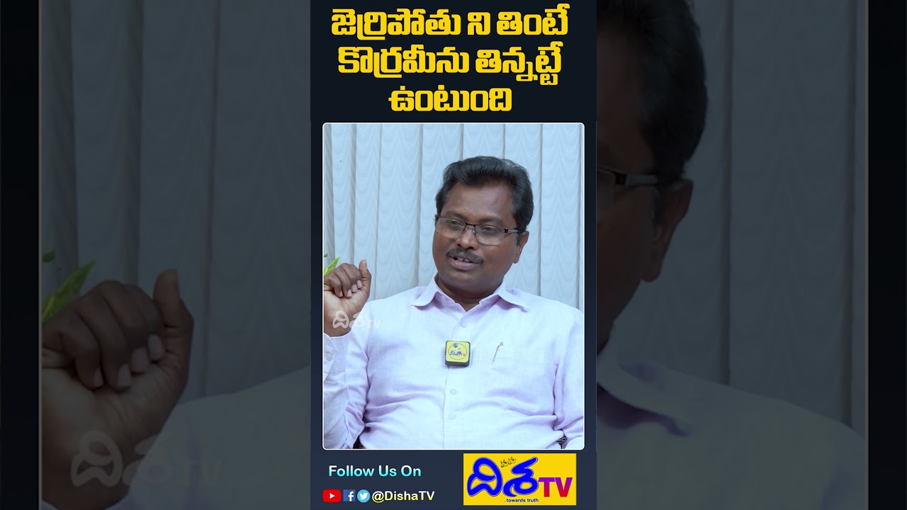 అడవిలో ఆహారం | Tech Madhu Explains about Food in Forest | Tech Madhu Story | Disha TV