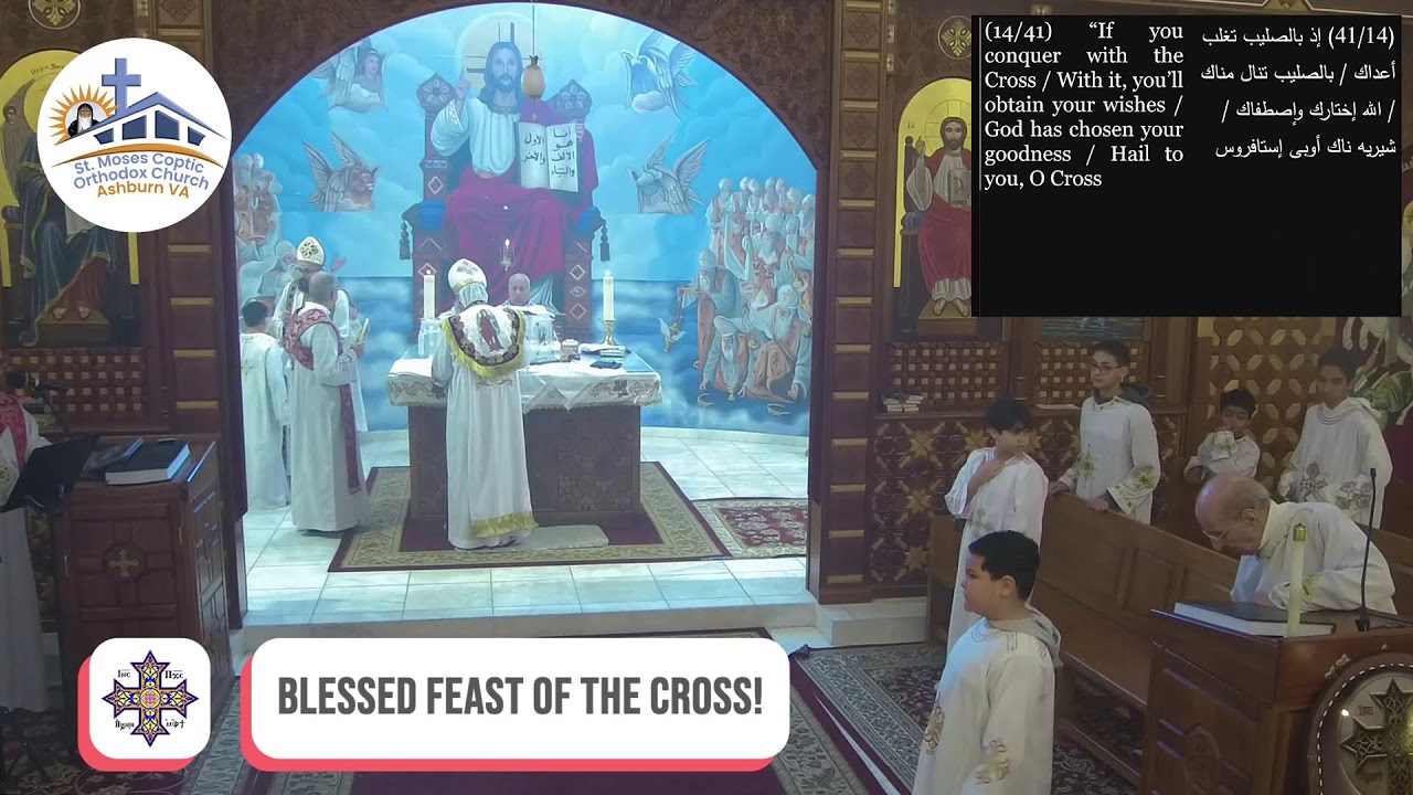 Live from St.Moses