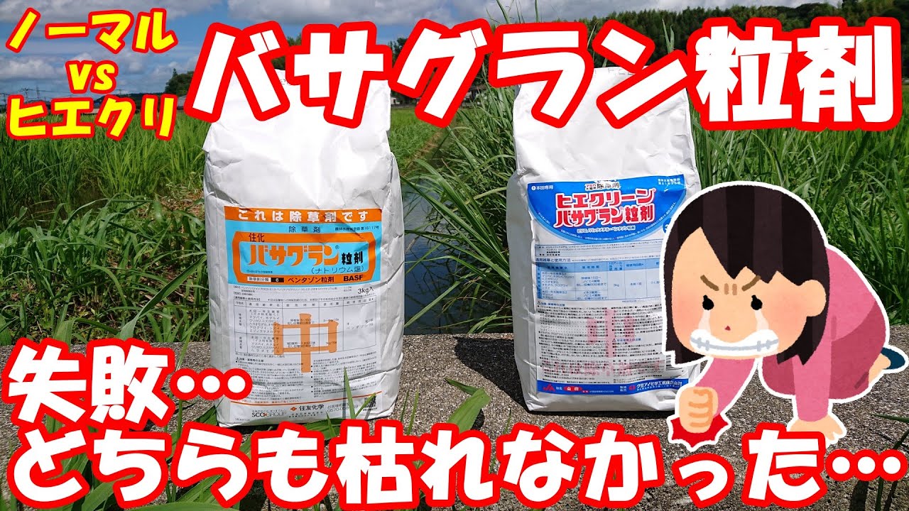 除草剤失敗！ノーマルとヒエクリーンバサグラン対決結果を確認できませんでした