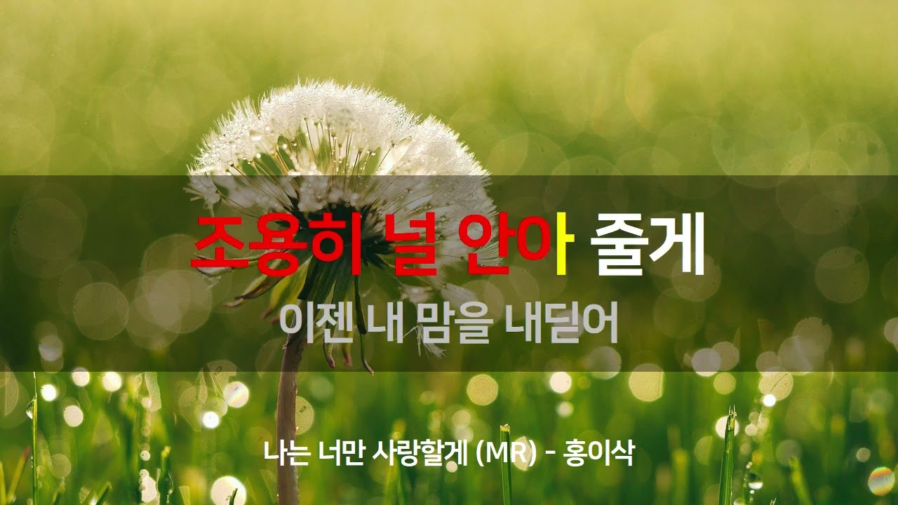 나는 너만 사랑할게 (MR반주곡 / MR노래방 / Karaoke) | 홍이삭 | MusicSum Karaoke
