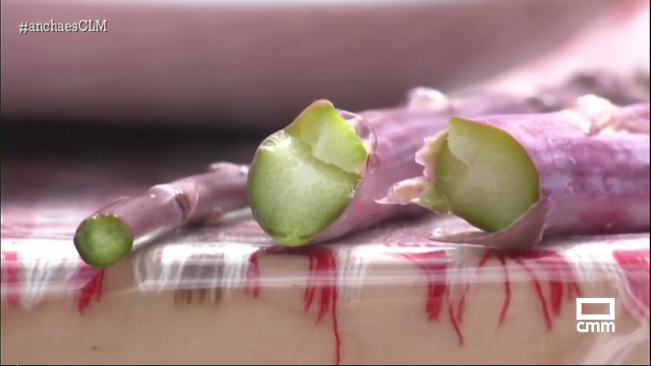 El espárrago morado de Fontanar es más dulce y tierno | Ancha es Castilla-La Mancha