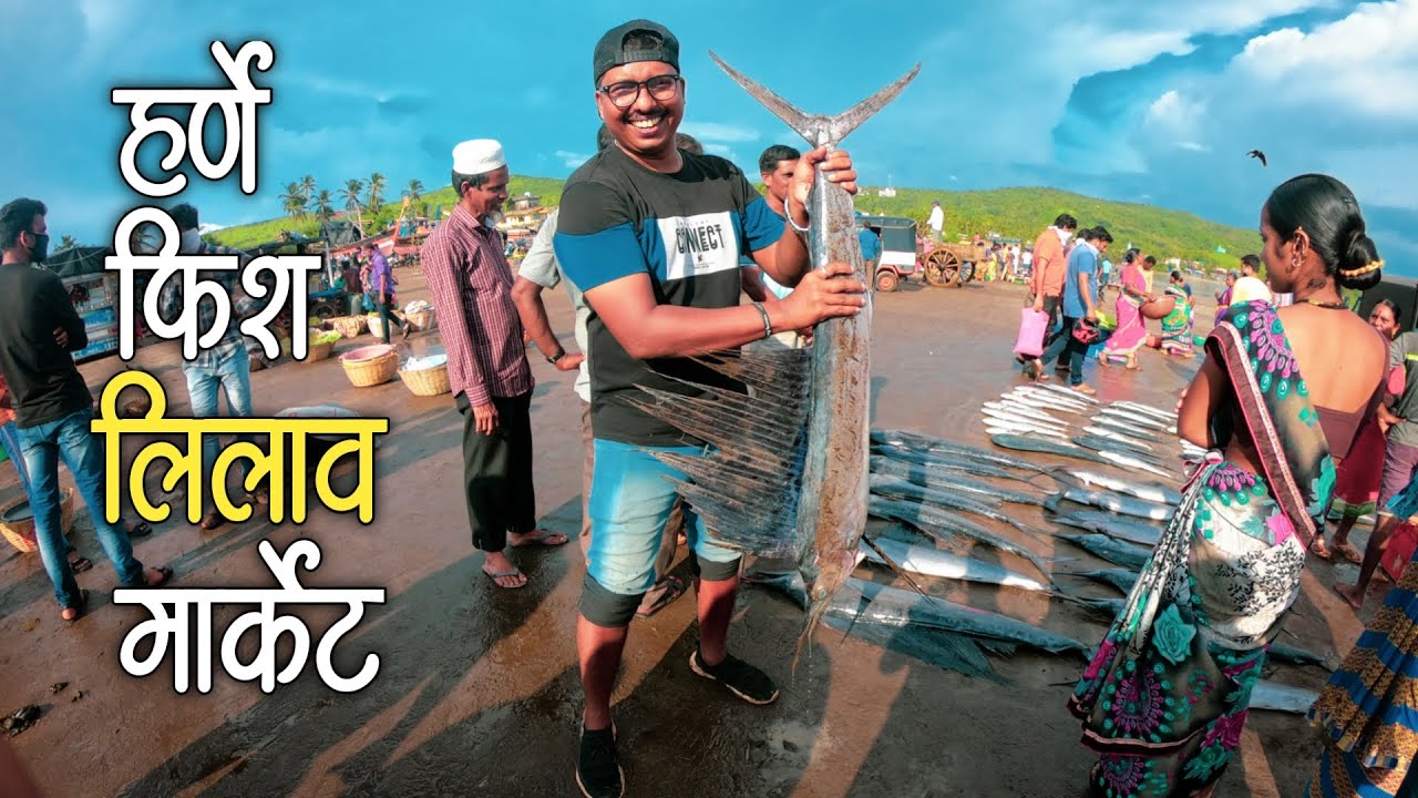 Harnai Fish Market - Auction 🦐 | मोठ्या माशांचा लिलाव, हर्णे बंदर - Dapoli (Konkan)