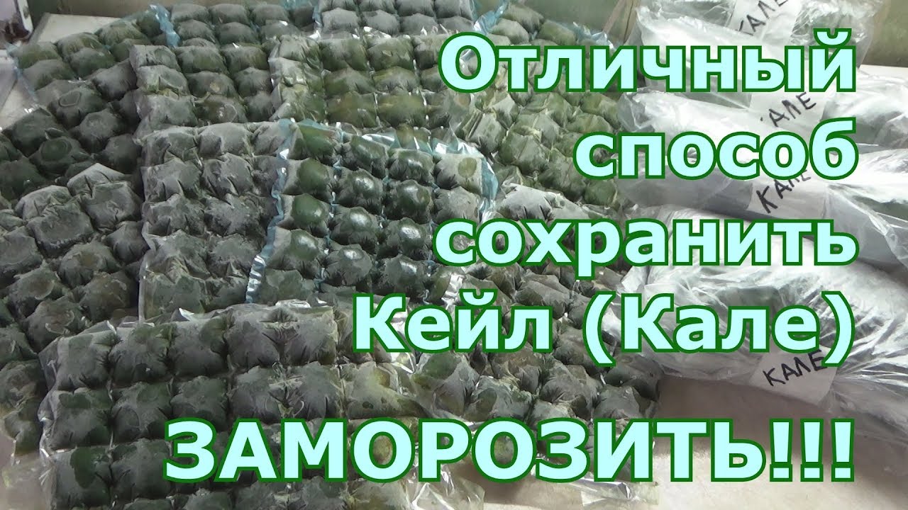 Заготовки на зиму из листовой капусты Кале (Кейл). Заморозка свежевыжатого сока и листьев капусты