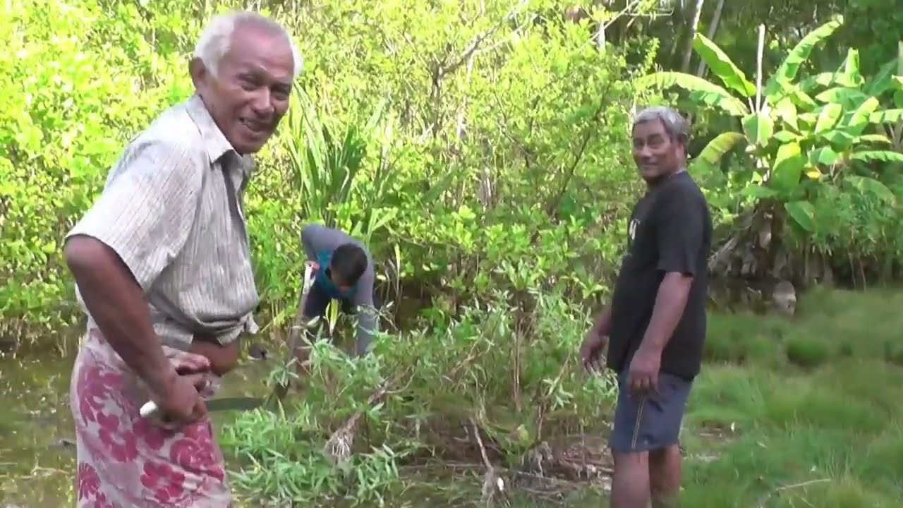 NUKULAELAE PULAKA PIT CLEARING