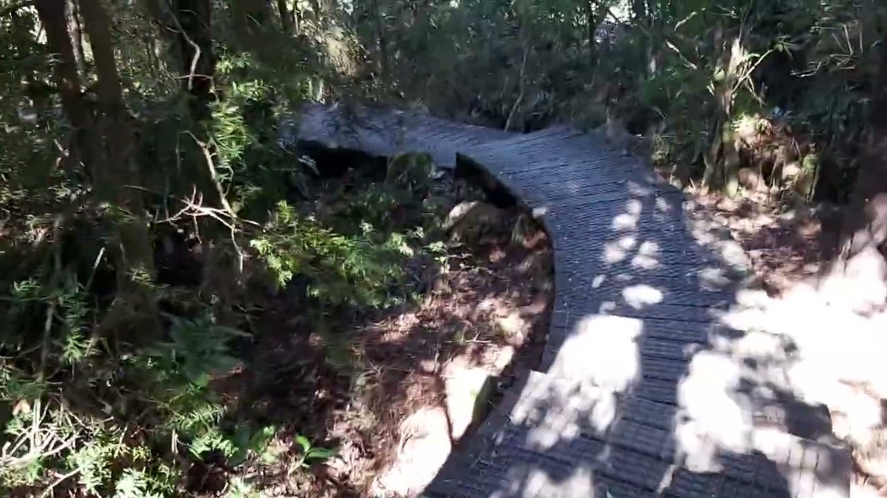 Kahurangi National Park 