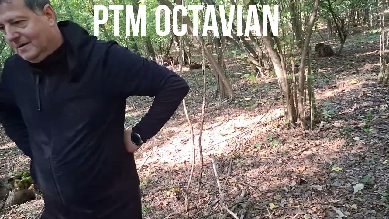 Cu Regizorul Meu In Padure