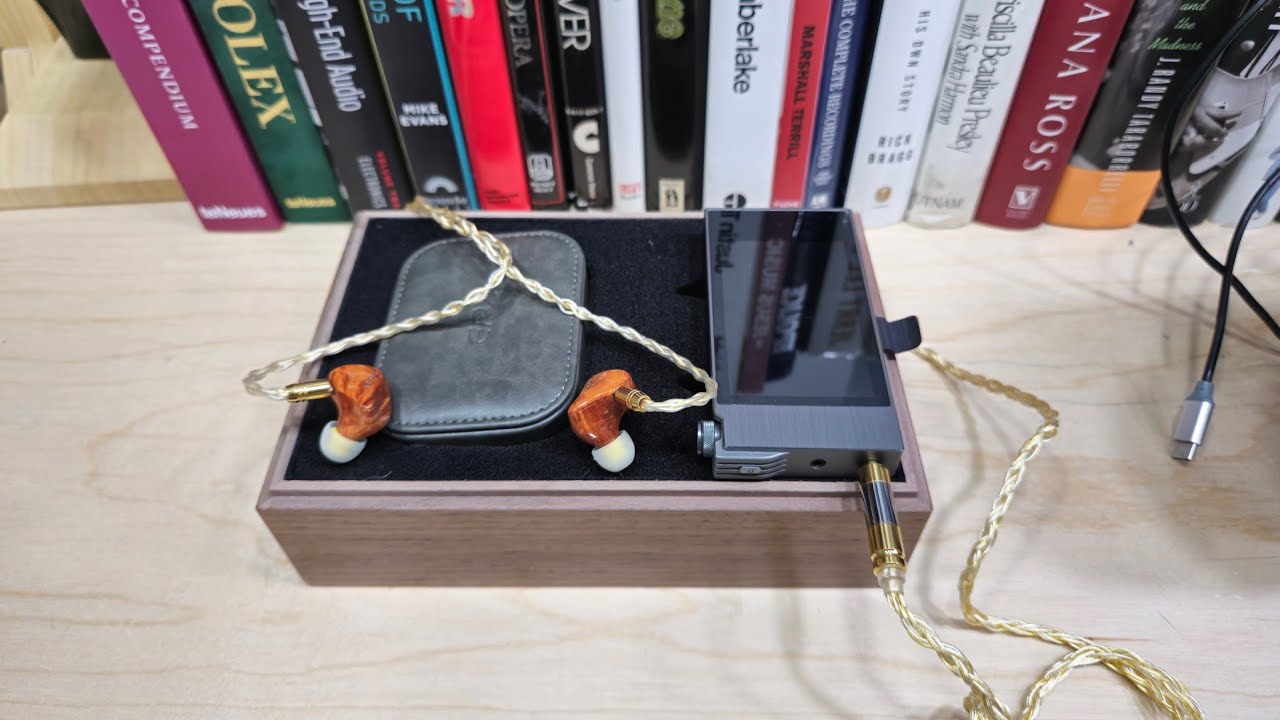 EPZ 530 In Ears que me sorprendieron