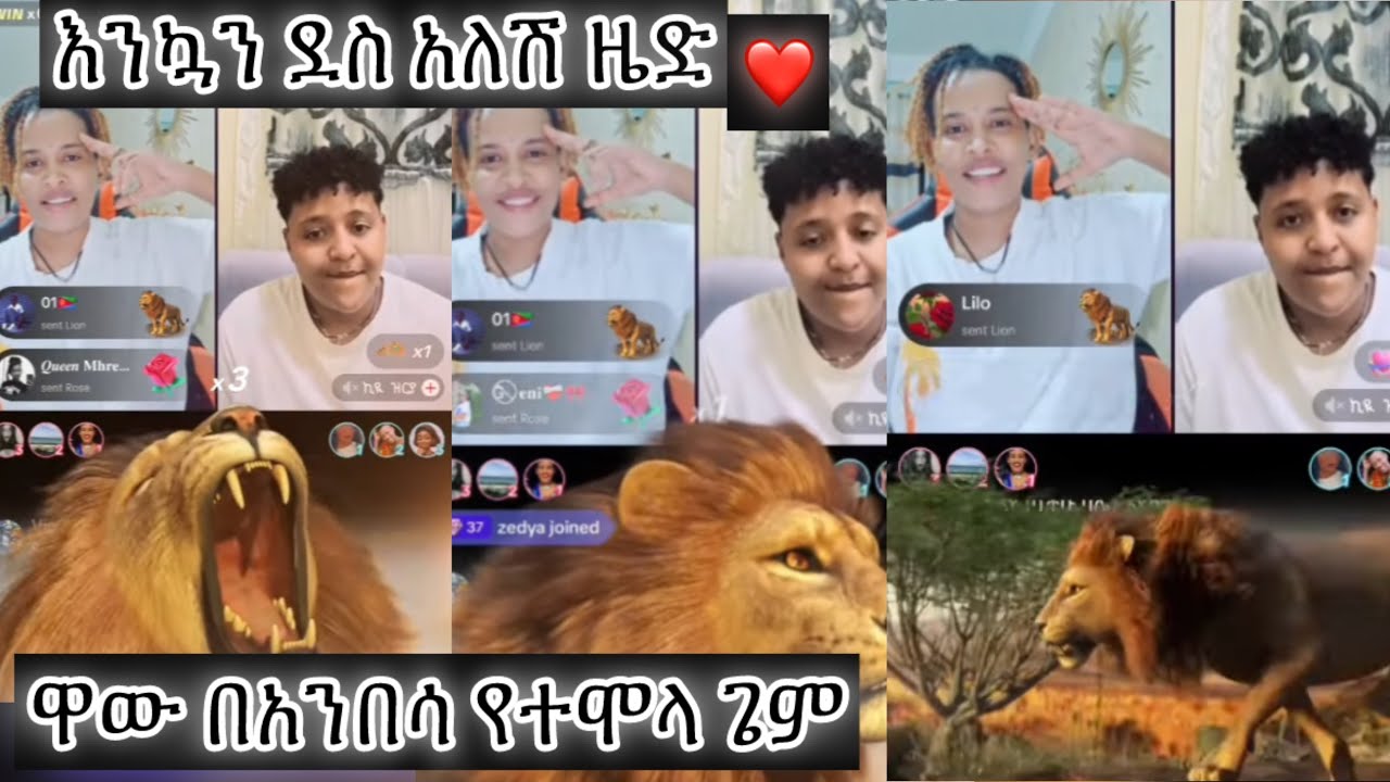 ዜድ ጌሙን በድል አጠናቀቀች❤🍾🍷አስደማሚ ጫዎታ❤️