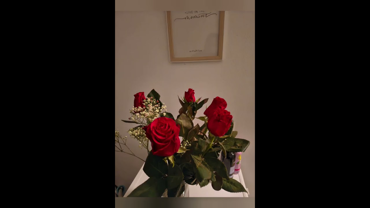 Моё свидетельство 