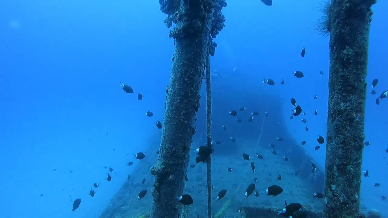 24.03.2023 II wreck Djabeda
