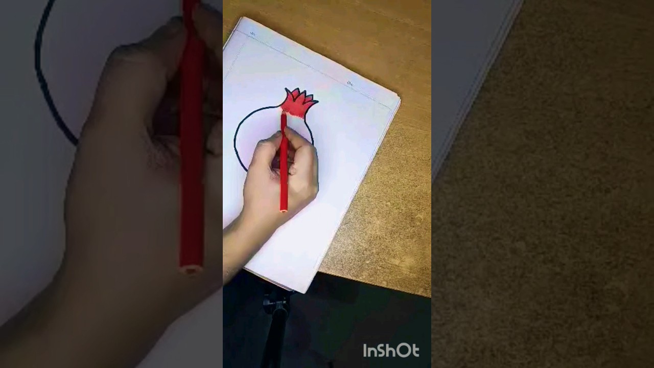 How to draw pomegranate for beginner #shorts