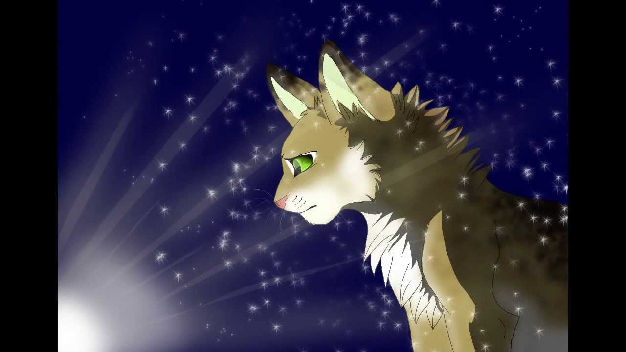 Spottedleaf AMV - Tears to shed [short]