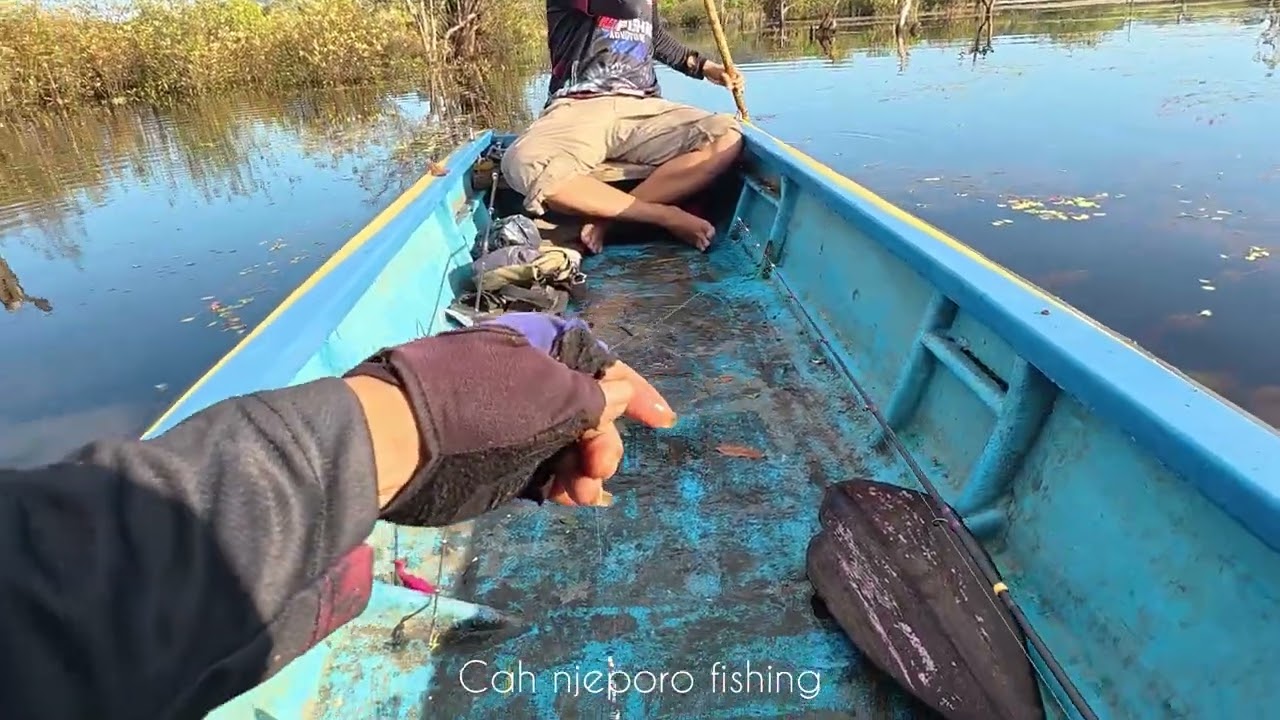 Rezeeki mancing tak ada yg tau harus bersyukurmasih ada sambaran #casting /kerandang#