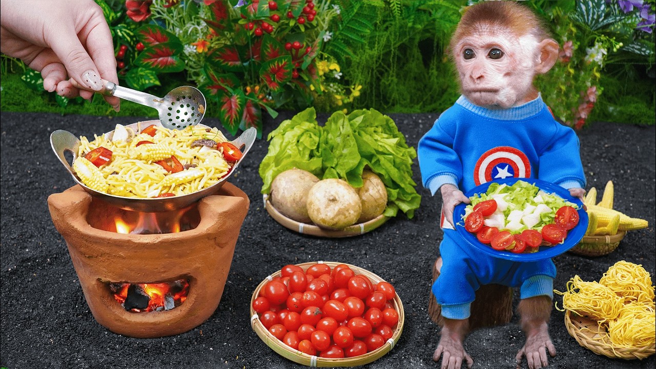 Sister helps baby monkey Xuka harvest corn and cook his favorite stir-fried noodles with meat