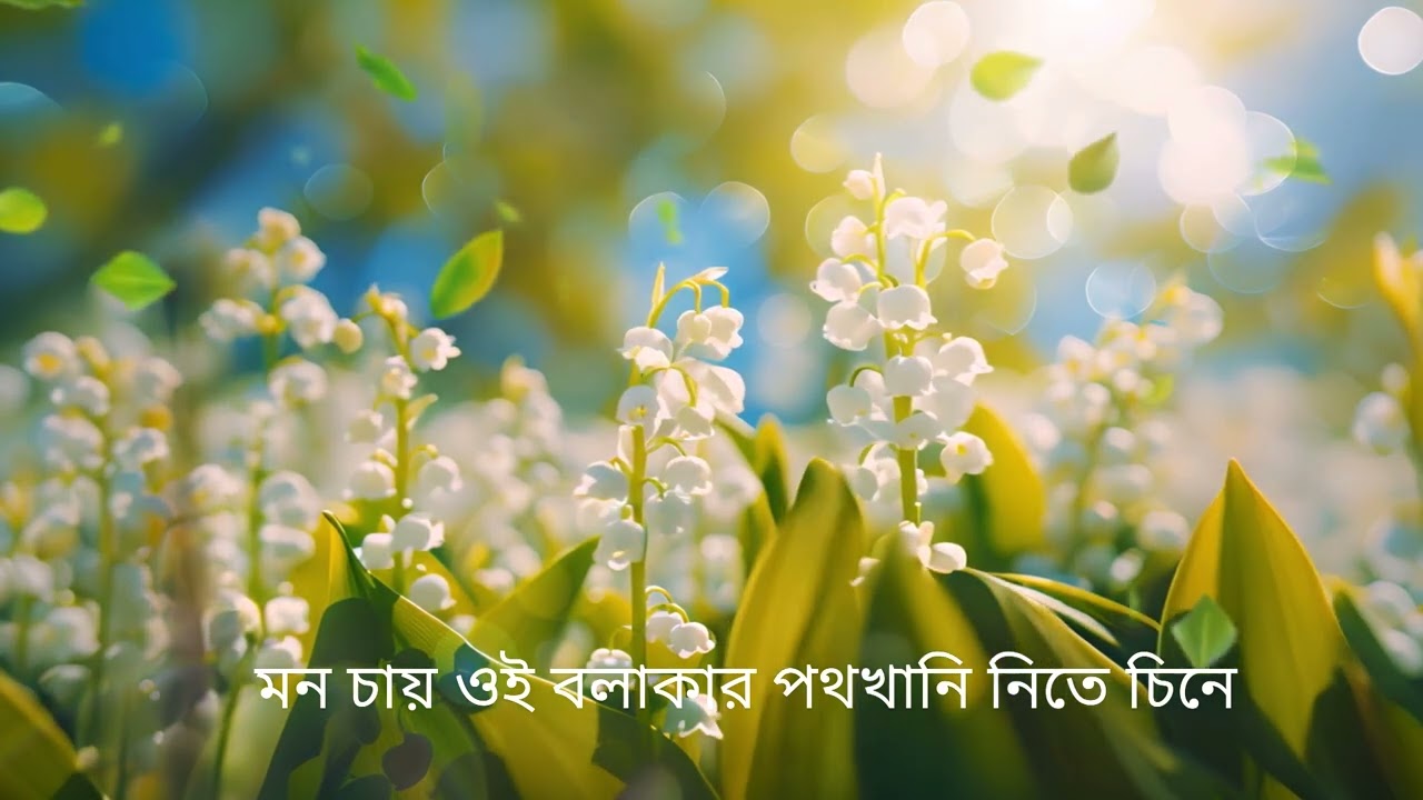 আজি ঝরো ঝরো মুখর বাদরদিনে - Aji Jhoro Jhoro Mukhoro Badoro Dine