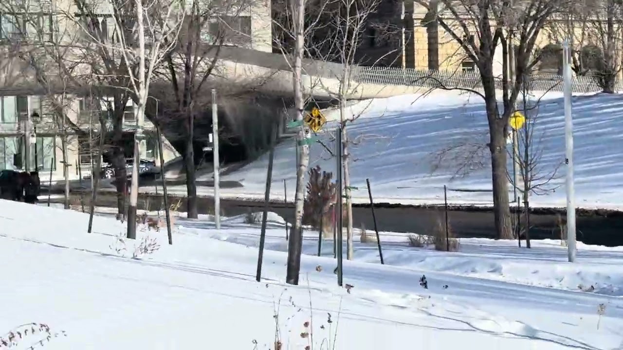 MY WALK IN MONTREAL