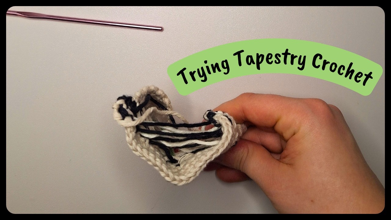 I Tried Tapestry Crochet for the First Time