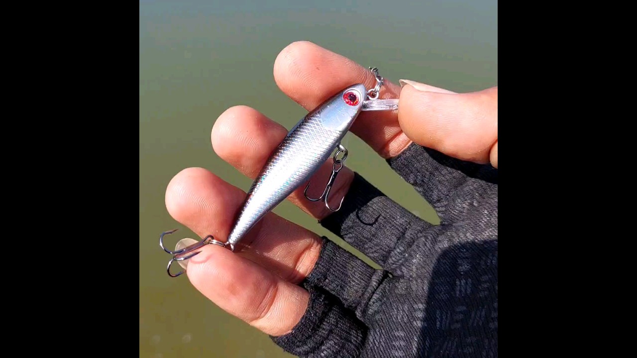 Minnow Slow Sinking 6 cm 4 gram KILLER #lure #mancing #umpanmancing #fishing #casting #barramundi
