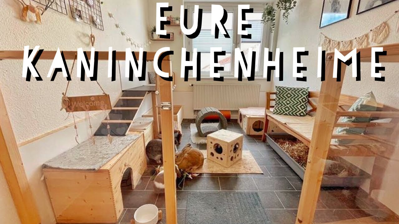 EURE KANINCHENHEIME 4 - Stupsnasenbande🏡 || Pfötchenbande 💗