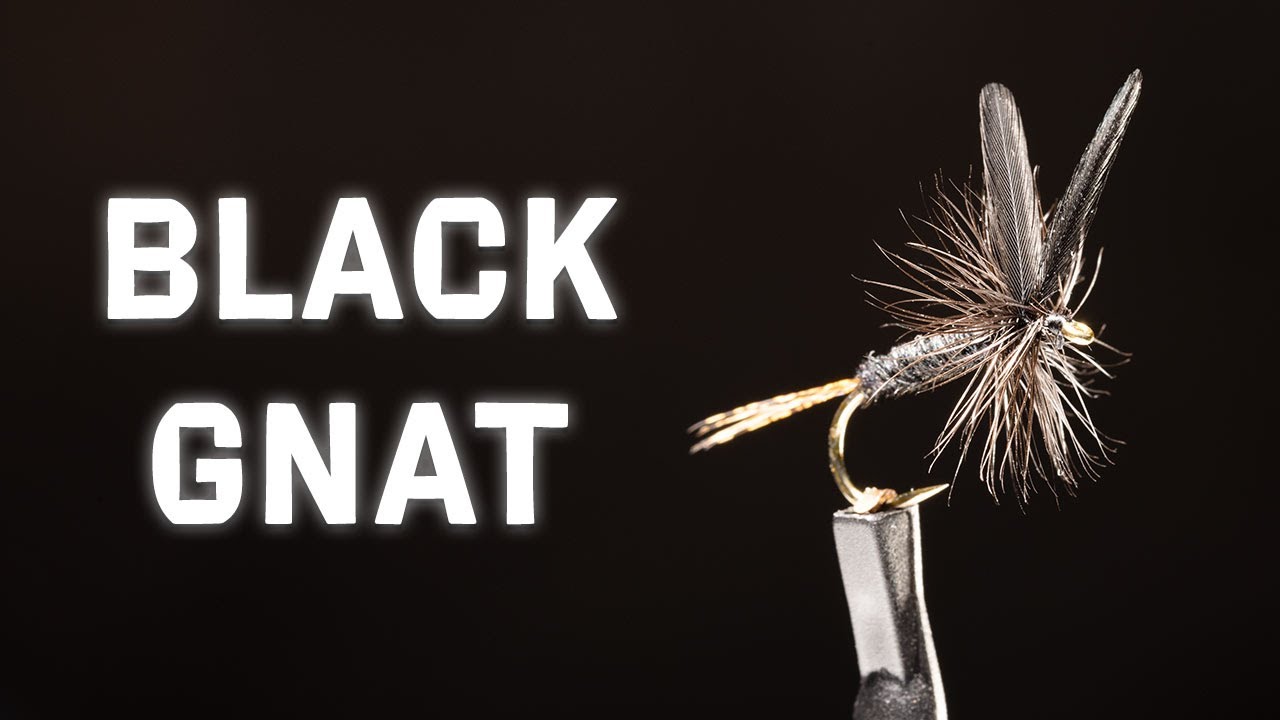 Сухая мушка Black Gnat | Лучше для ловли форели? | Руководство по вязанию мушек