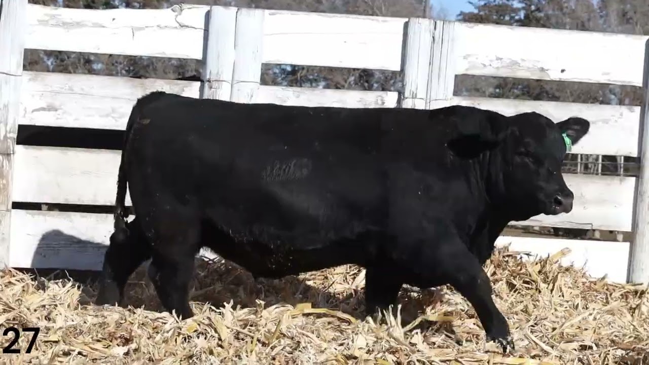 Lot 27 - LL Regard N1514