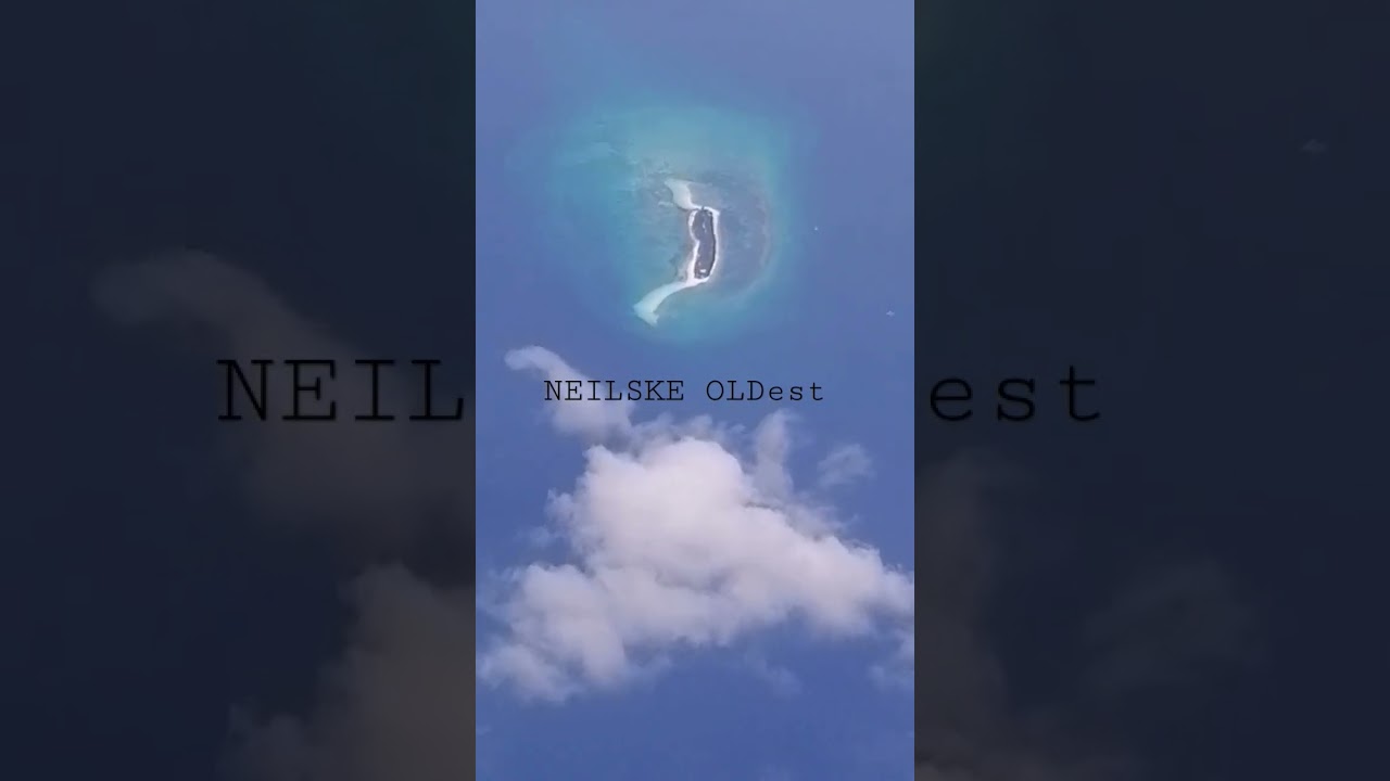 Little Island aerial view #aerial#aerialfootage#aerialvideo#shorts#shortvideo