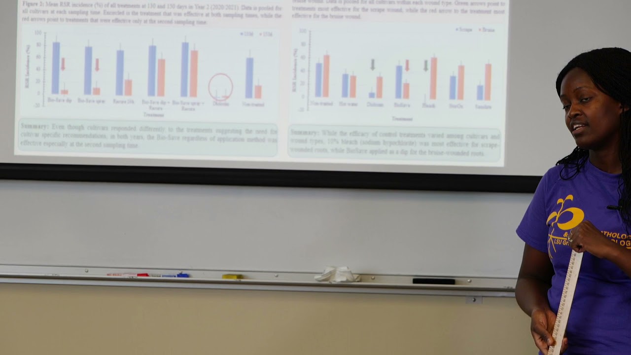 Rhizopus Soft Rot Control - Ms. Waana Kaluwasha