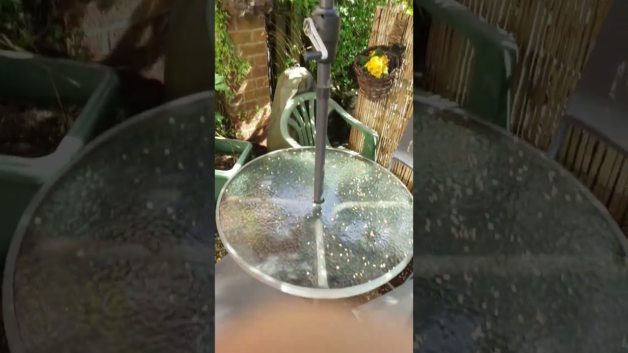 new parasol in garden
