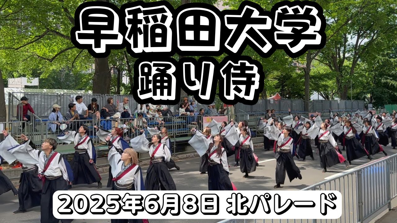 早稲田大学'踊り侍' 第34回YOSAKOIソーラン祭り 北パレード 2025年6月8日