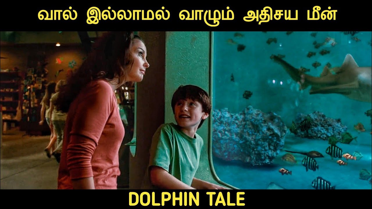 டால்பின் கதை (2011) திரைப்படத்தின் விளக்கம் by Movie Multiverse