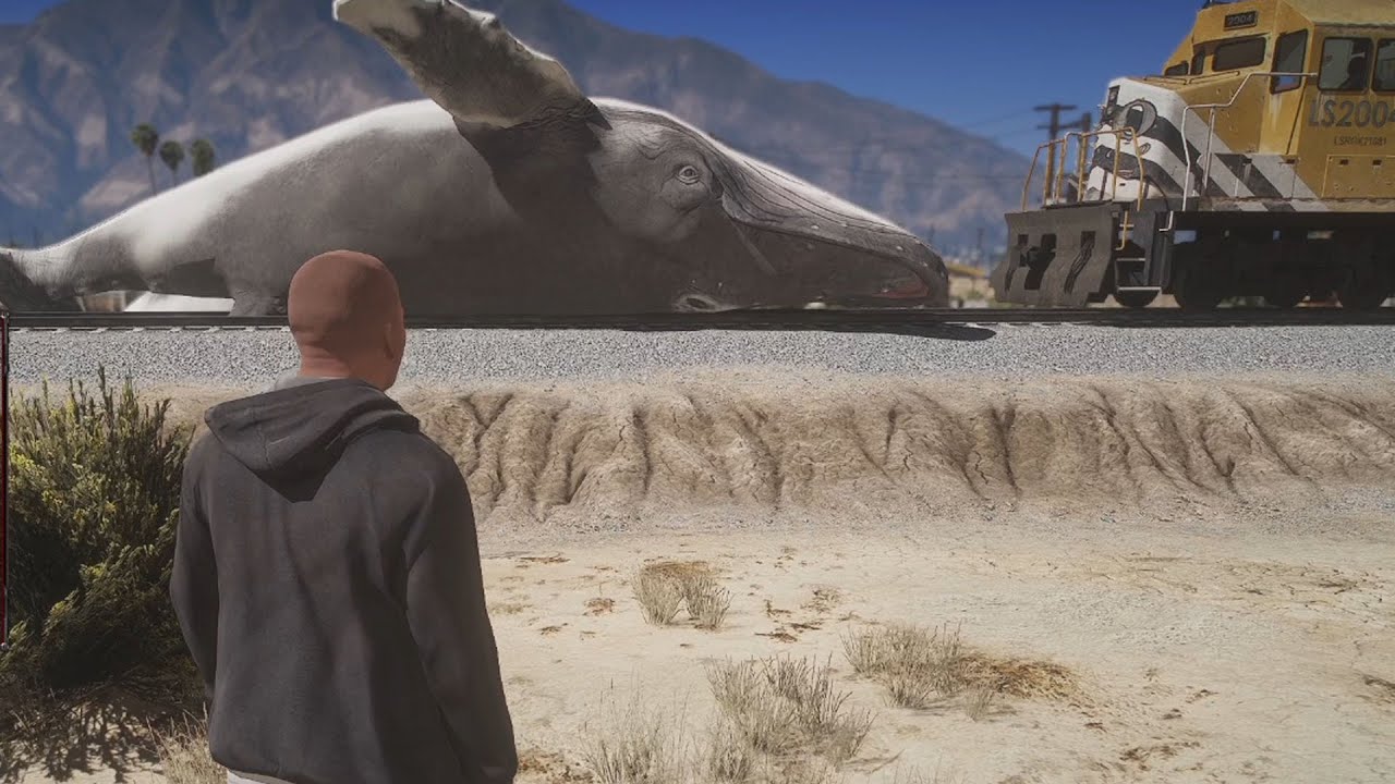 GTA5 기차랑 싸우는 고래?!