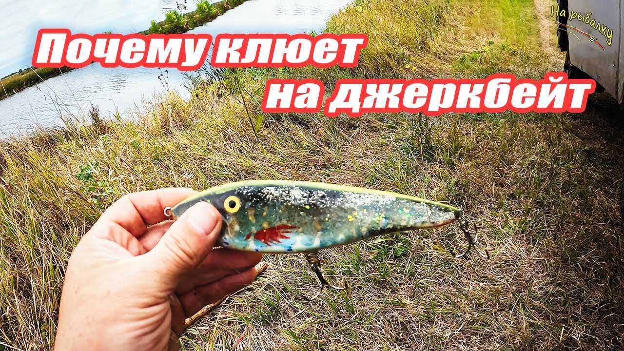 Почему клюет на джеркбейт! Рыбалка на щуку. #каналнарыбалку#щука#щуканаджеркбейт