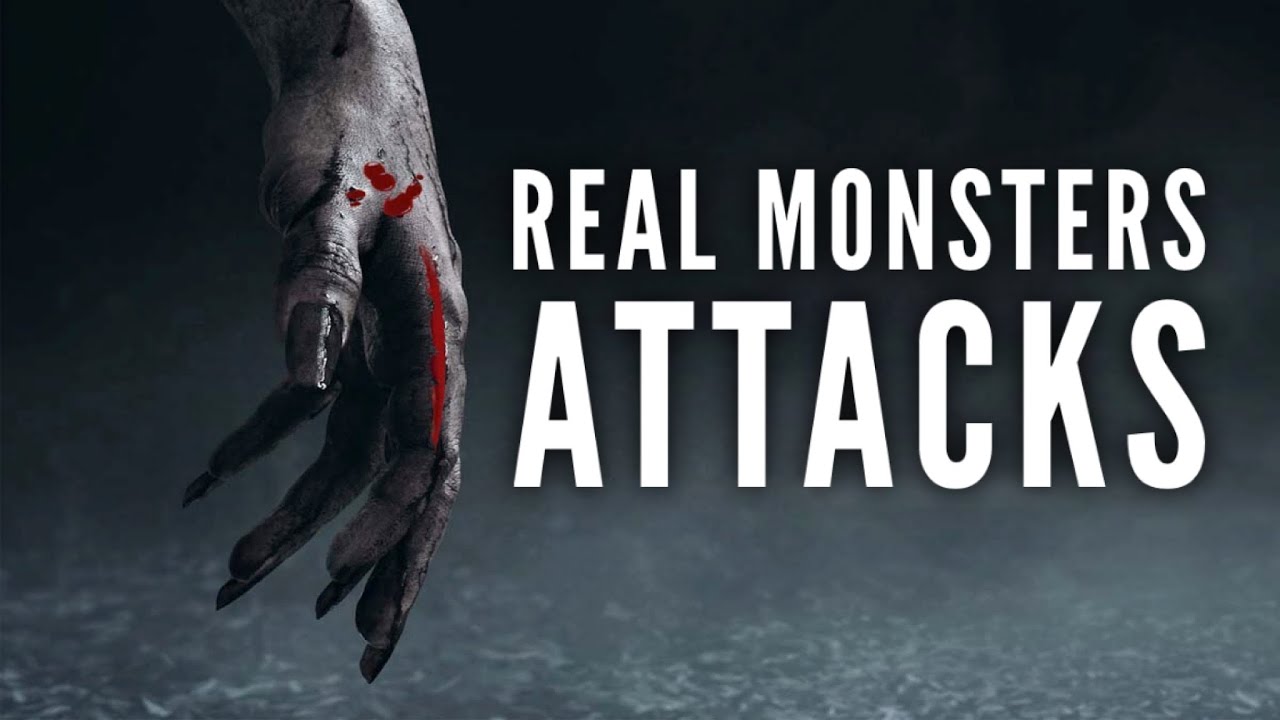 Real Monsters attacks. The 5 Most Terrifying.
